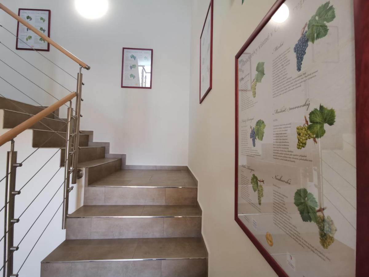 Comenius Moravus Vinarsky Dvur Mikulov Exterior foto